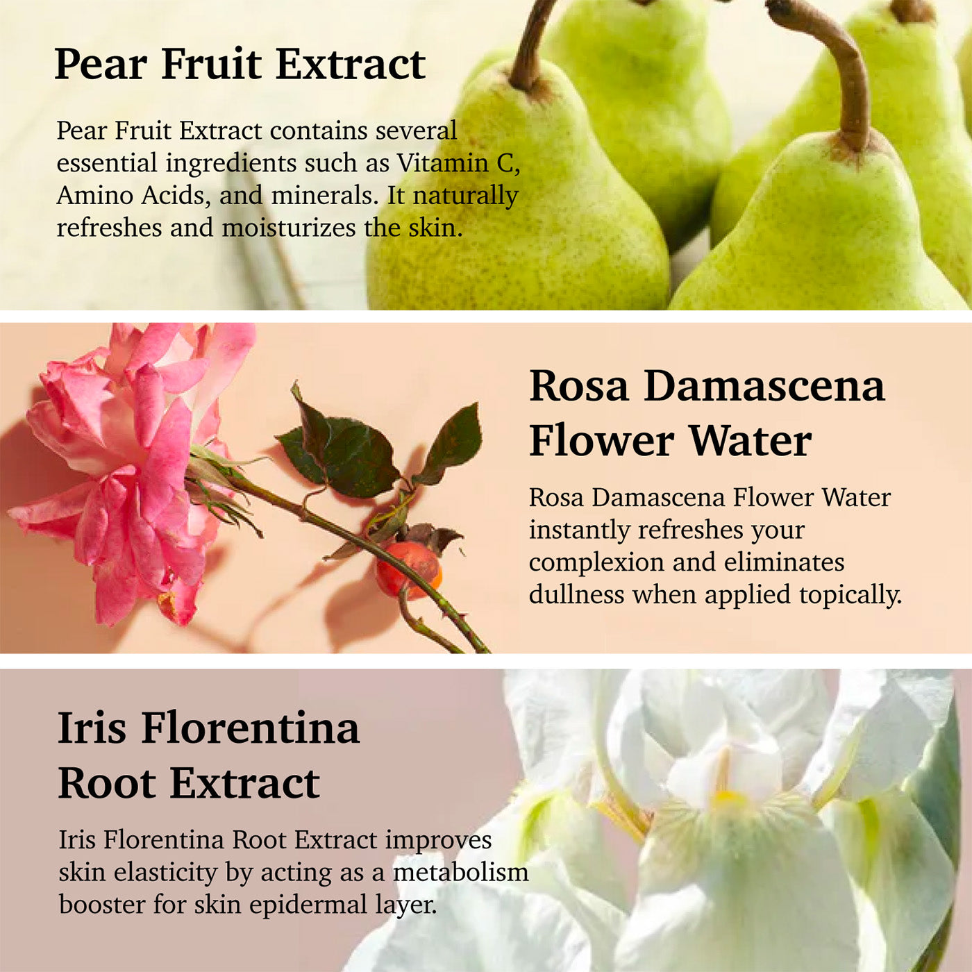 Purifect Softening Vitamin E Facial Serum