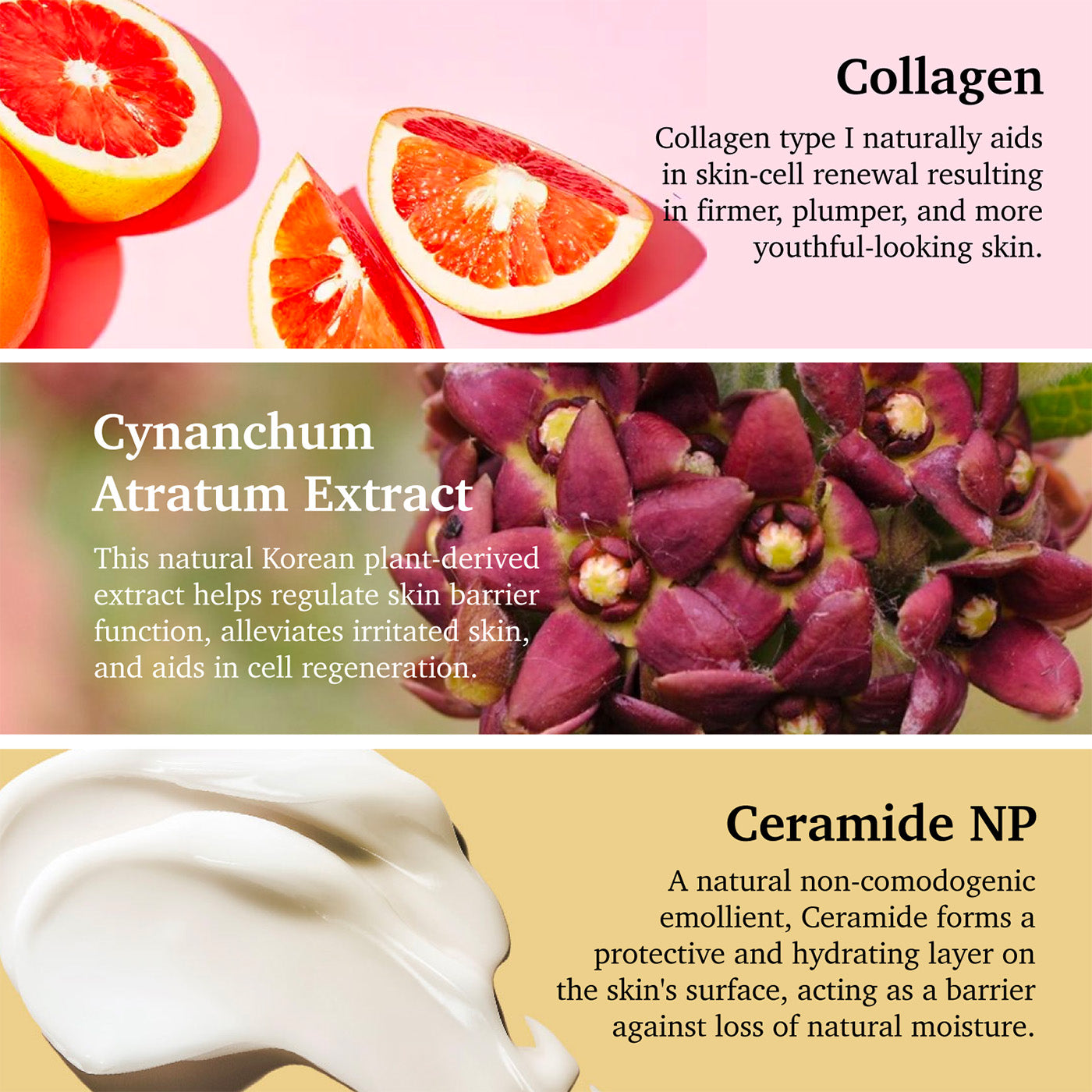 Purifect Anti-Aging Collagen Facial Serum