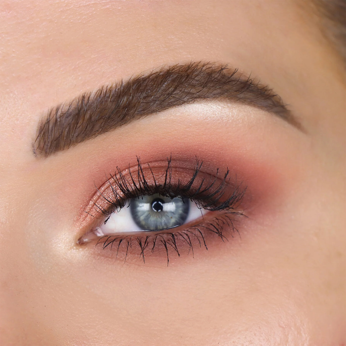 C&G Male Order® Domestic Male