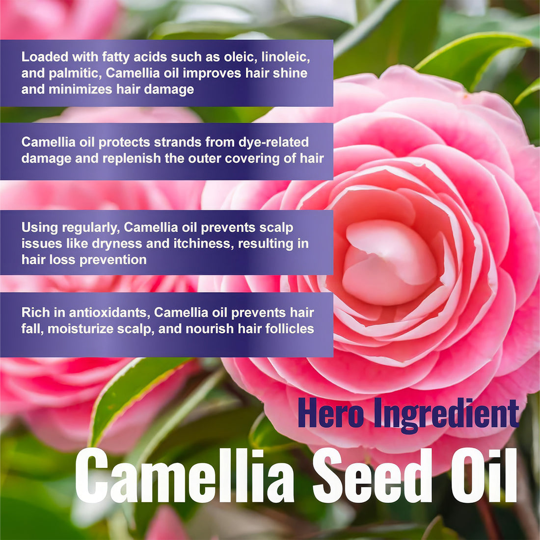 Purifect Hair Growth Serum