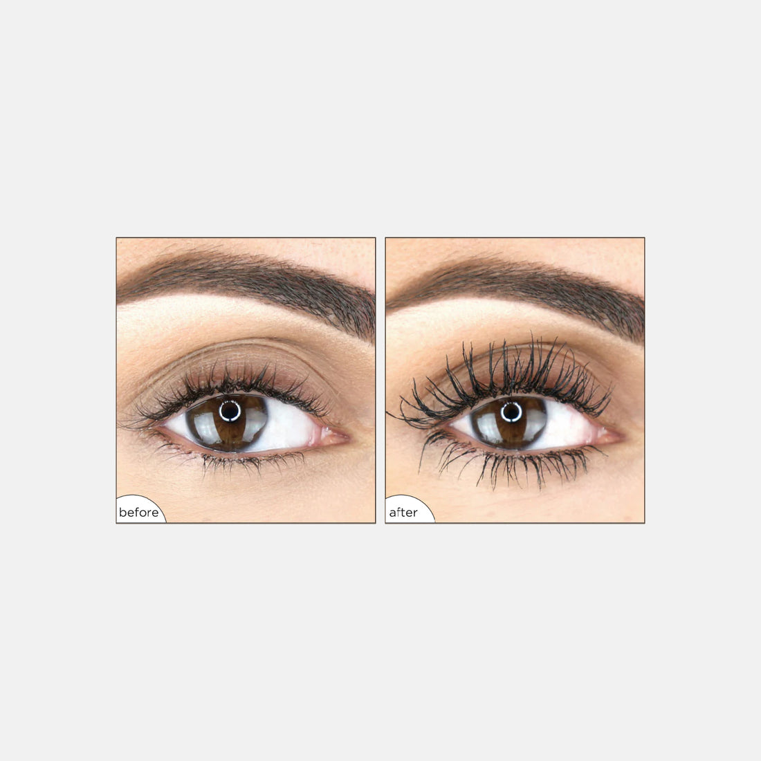 Mad Lash - Travel-Size
