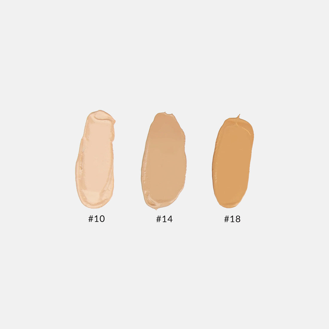 Anne T. Dotes® Tinted Moisturizer