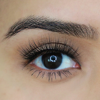 Big Fan™ Paparazzi Lashes